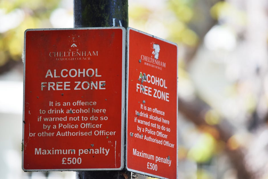 Two weathered red metal signs attached to a black metal pole in an outdoor setting, with a blurred background of trees and foliage. The signs display white text indicating a designated alcohol-free zo